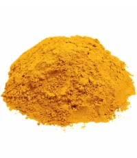 Zencefil Toz 100 gr
